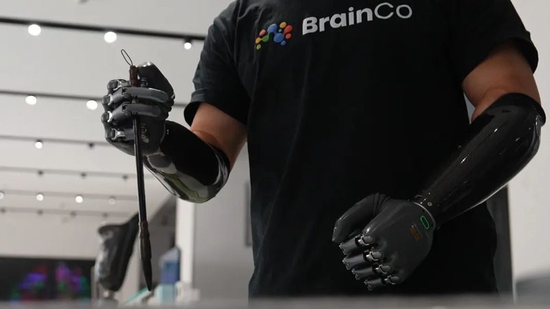 轻量化引擎：企业数字化转型的加速器